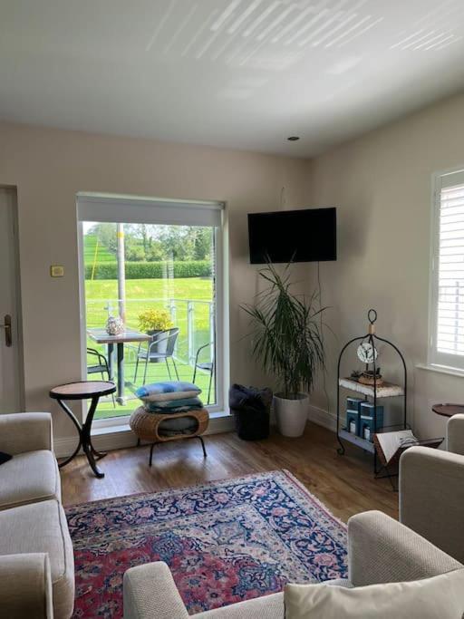 Adorable One Bedroom Apartment With Balcony Newtownards Exterior photo