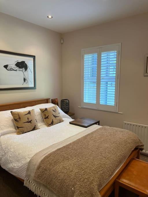 Adorable One Bedroom Apartment With Balcony Newtownards Exterior photo